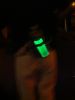 DSC00060.JPG