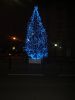 DSC05708.JPG