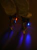 DSC05872.JPG