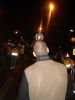 DSC08079.JPG