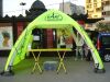 DSC08803.JPG